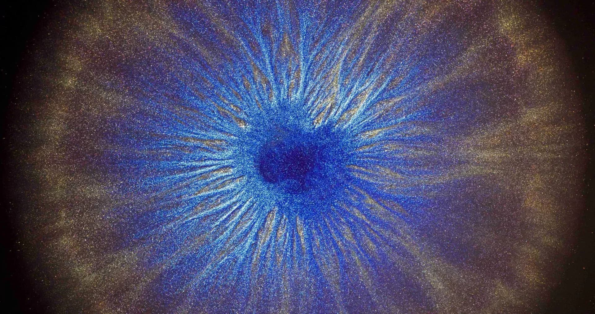 Information Architecture (IA)